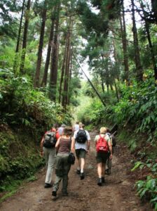 Hiking and Trekking