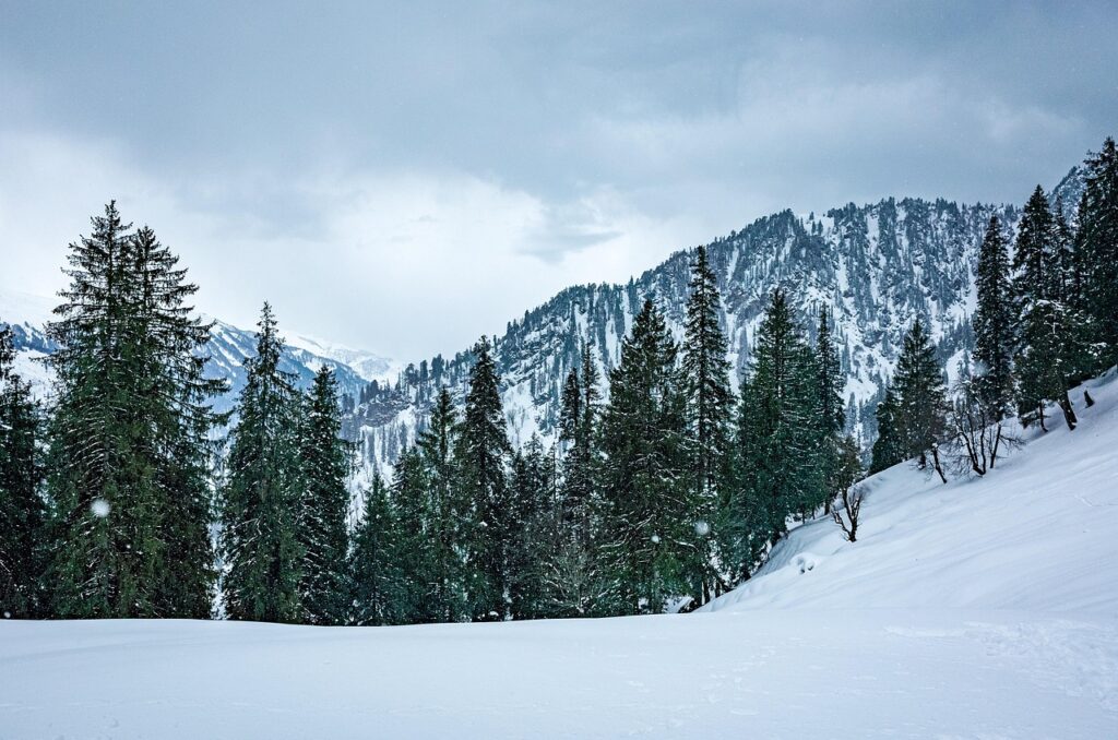 Kullu, Manali, and Shimla mountains showcasing snowy peaks and green valleys for Vadodara travelers in 2025