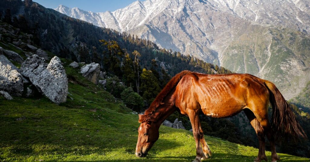 Beautiful mountain landscape from Kullu Manali Shimla Tour Packages from Agra – 2025